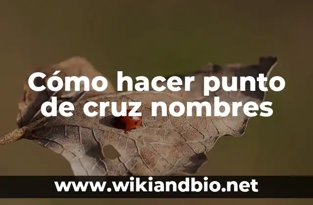 Cómo hacer punto de cruz nombres