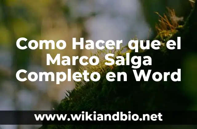 Como Hacer que el Marco Salga Completo en Word