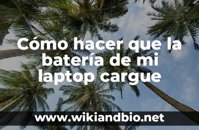 Cómo hacer que la batería de mi laptop cargue