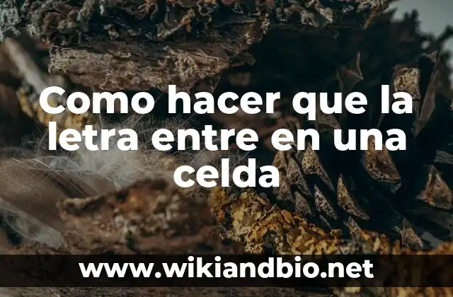 Como hacer que la letra entre en una celda
