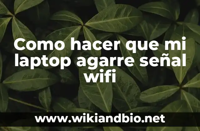 ¿Qué es la recepción wifi y cómo funciona?