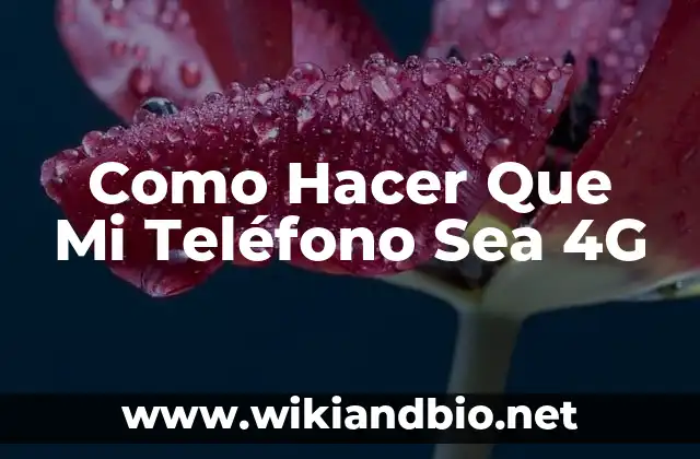 Como Hacer Que Mi Teléfono Sea 4G