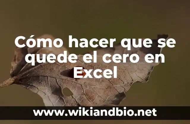 Cómo hacer que se quede el cero en Excel