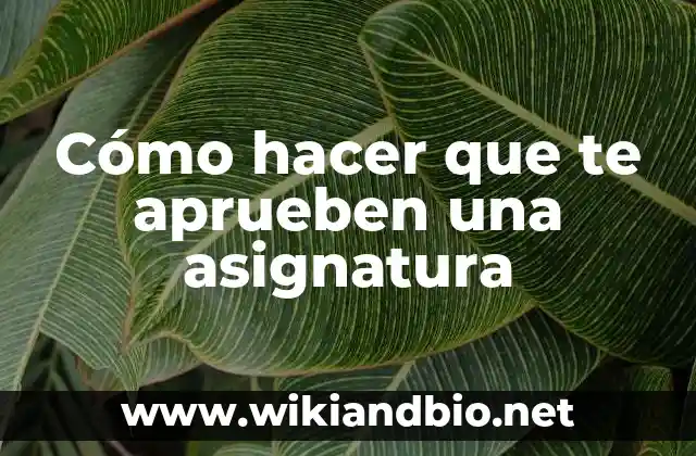 Cómo hacer que te aprueben una asignatura