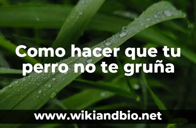 Como hacer que tu perro no te gruña