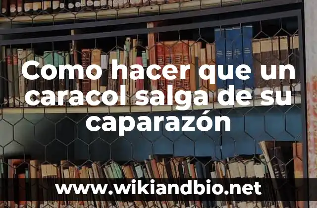 Como hacer que un caracol salga de su caparazón