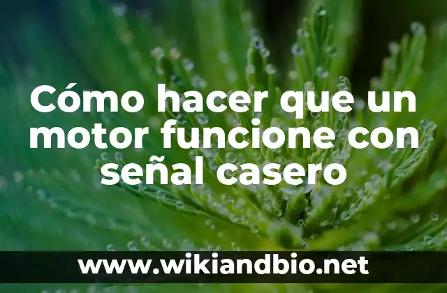 Cómo hacer que un motor funcione con señal casero