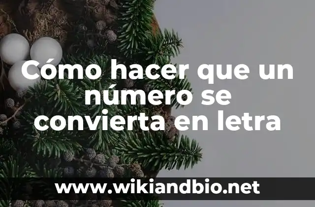 Convertir números en letras