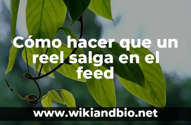 Cómo hacer que un reel salga en el feed
