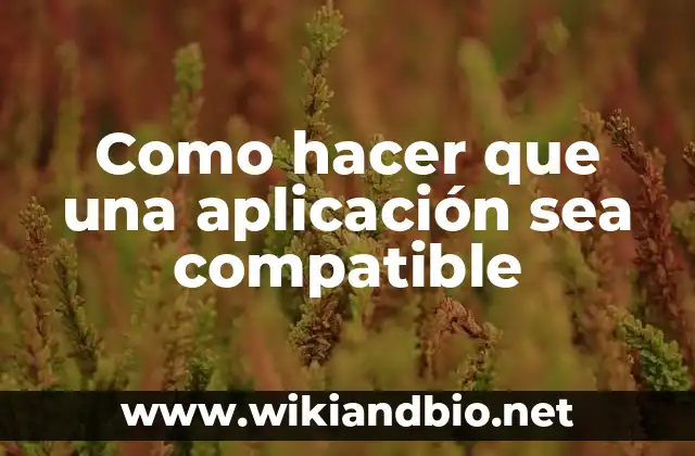 Como hacer que una aplicación sea compatible
