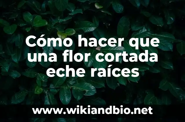 Cómo hacer que una flor cortada eche raíces