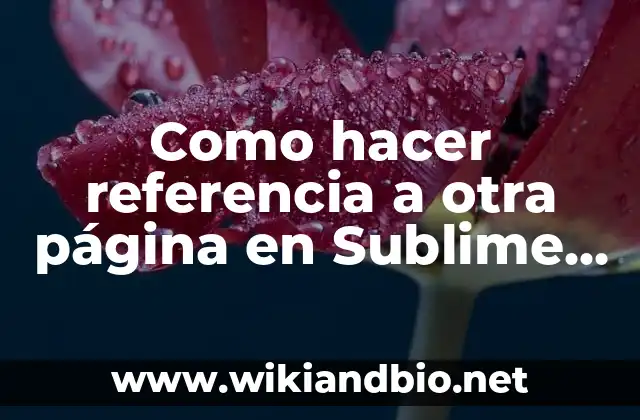 Como hacer referencia a otra página en Sublime Text