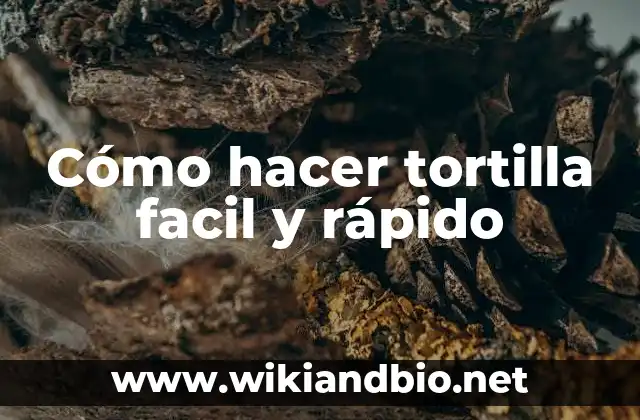 Cómo hacer tortilla facil y rápido