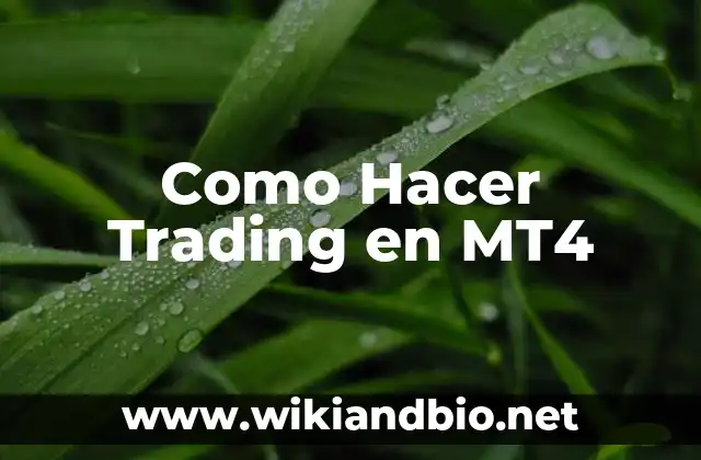Como Hacer Trading en MT4