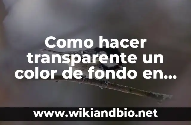 Hacer transparente un color de fondo en HTML