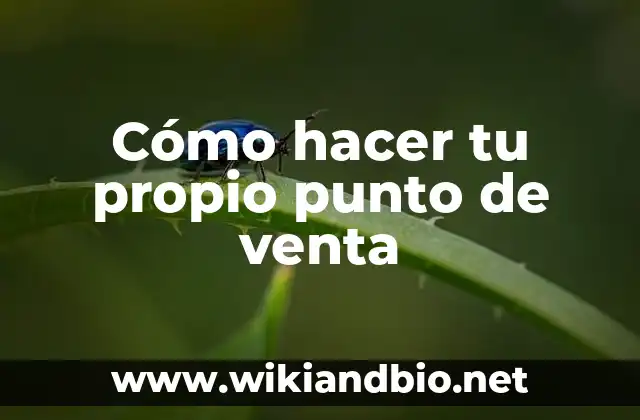 Cómo hacer tu propio punto de venta