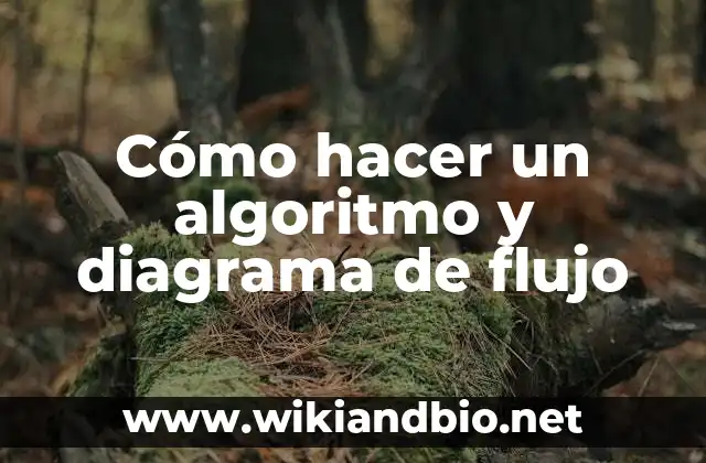 Cómo hacer un algoritmo y diagrama de flujo