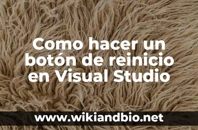Como hacer un botón de reinicio en Visual Studio