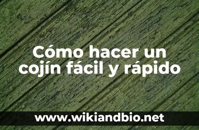 Cómo hacer un cojín fácil y rápido