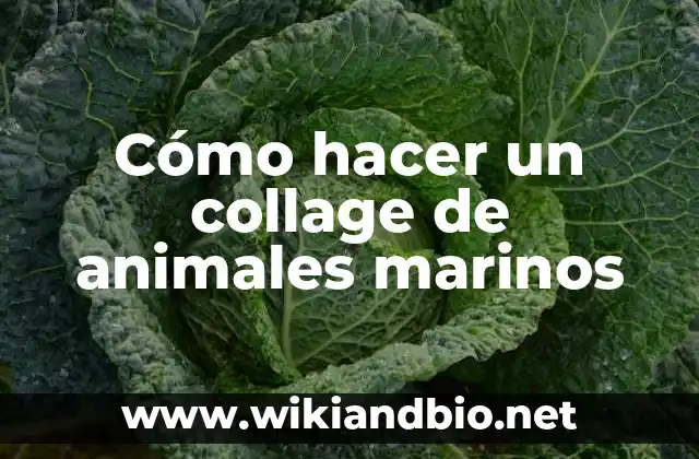 Cómo hacer un collage de animales marinos