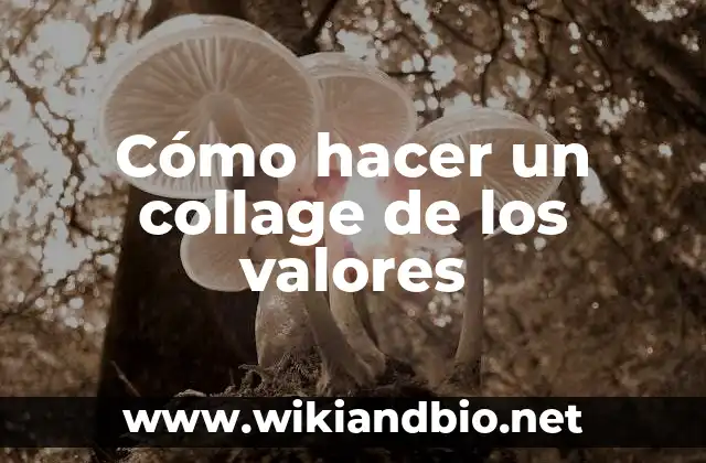 ¿Qué es un collage de los valores?