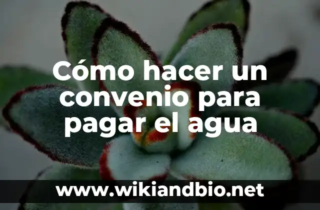 Cómo hacer un convenio para pagar el agua