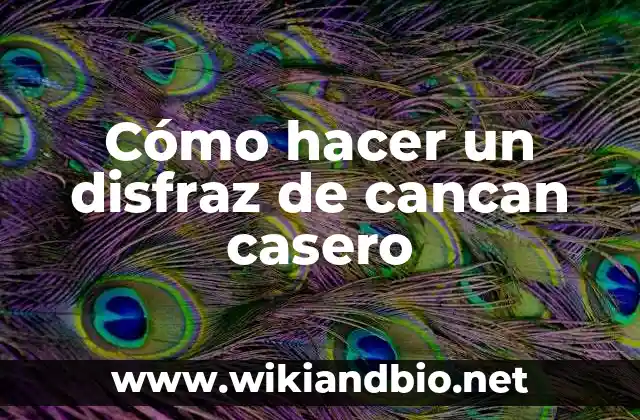 Cómo hacer un disfraz de cancan casero