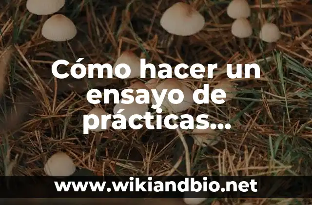 Cómo hacer un ensayo de prácticas profesionales