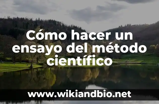 Cómo hacer un ensayo del método científico