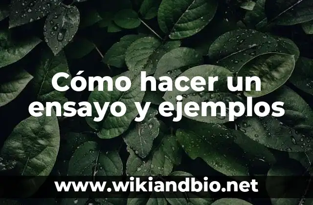 Cómo hacer un ensayo y ejemplos