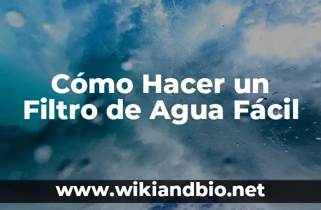 Cómo Hacer un Filtro de Agua Fácil