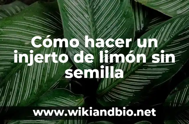 Cómo hacer un injerto de limón sin semilla