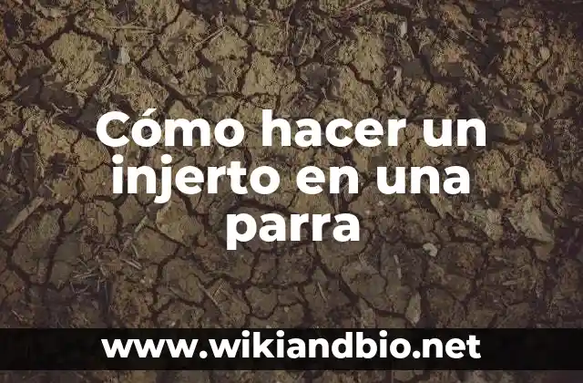 Cómo hacer un injerto en una parra