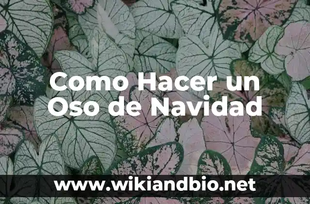 Como Hacer un Oso de Navidad