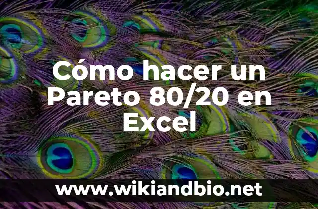 Cómo hacer un Pareto 80/20 en Excel