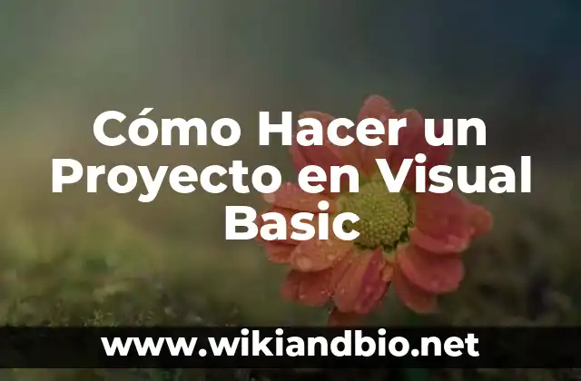Cómo Hacer un Proyecto en Visual Basic