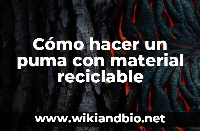 Cómo hacer un puma con material reciclable