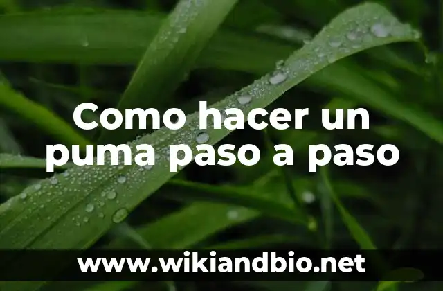 Como hacer un puma paso a paso