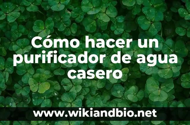Cómo hacer un purificador de agua casero