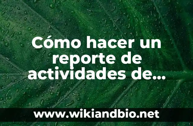 Cómo hacer un reporte de actividades de prácticas profesionales