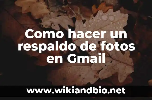 Como hacer un respaldo de fotos en Gmail