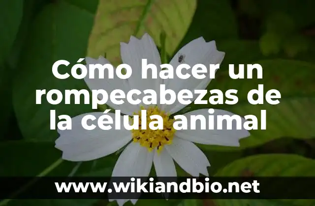 Cómo hacer un rompecabezas de la célula animal