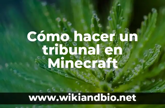 Cómo hacer un tribunal en Minecraft