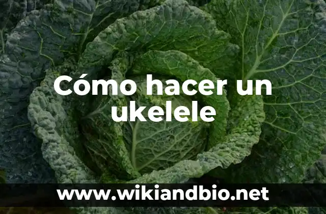 Cómo hacer un ukelele