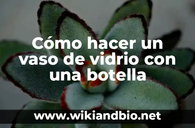 Cómo hacer un vaso de vidrio con una botella