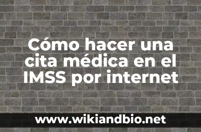 Cómo hacer una cita médica en el IMSS por internet