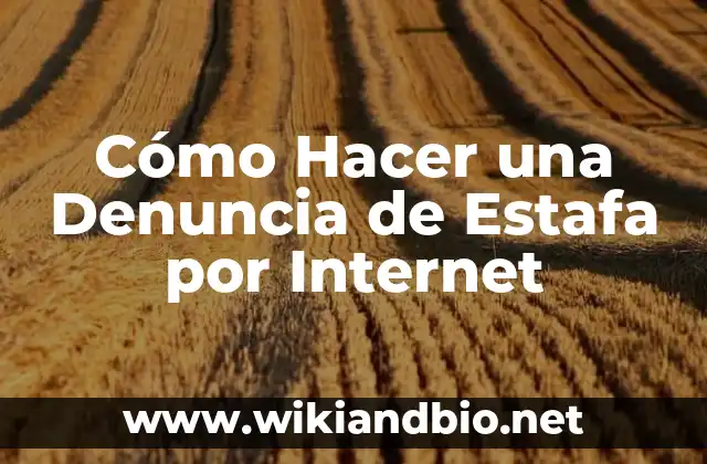 Cómo Hacer una Denuncia de Estafa por Internet