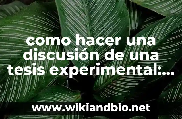 como hacer una discusión de una tesis experimental: Definición según Autor