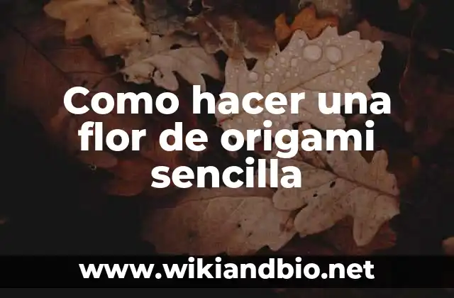 ¿Qué es el origami y para qué sirve?