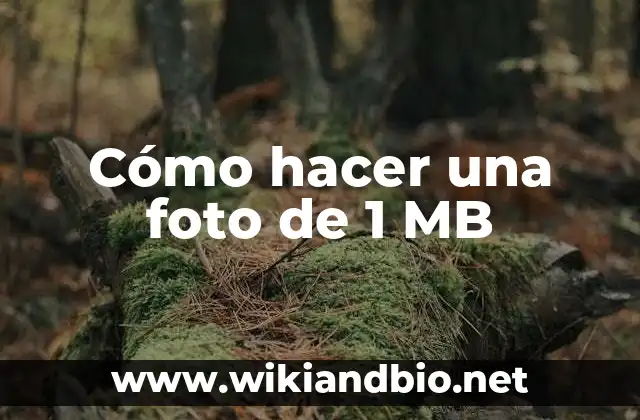 Cómo hacer una foto de 1 MB
